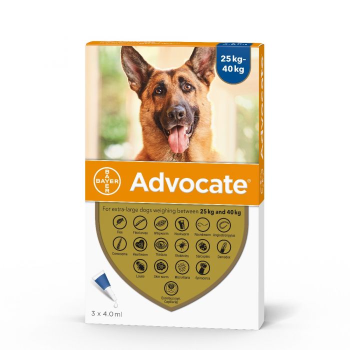- Advocate Dog 25-40kg