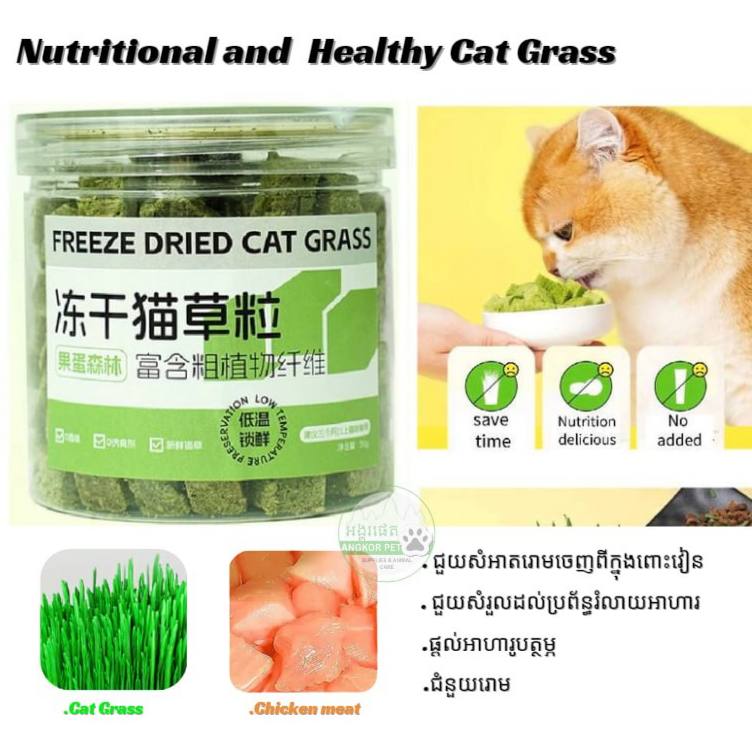 - Cat Grass 50g ​​​/​ ស្មៅឆ្មា
