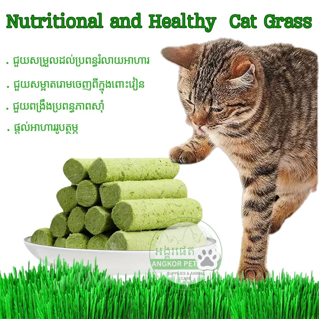 - Cat Grass Sticks 50g ​​​/​ ស្មៅឆ្មា