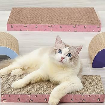 - Cat Toy Scratcher Board ឈូសក្រចកឆ្មាចម្រុះ