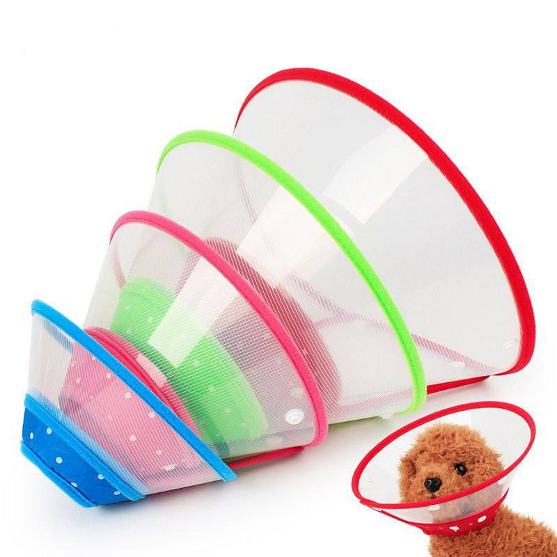 - Collar Protection S (1.5-3kg) ប្រឡៅករបាំងការពារ