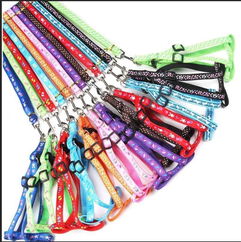 - Dog Leash Set Mix Color 1.5cmX120cm ខ្សែរបណ្តើរចម្រុះពណ៌