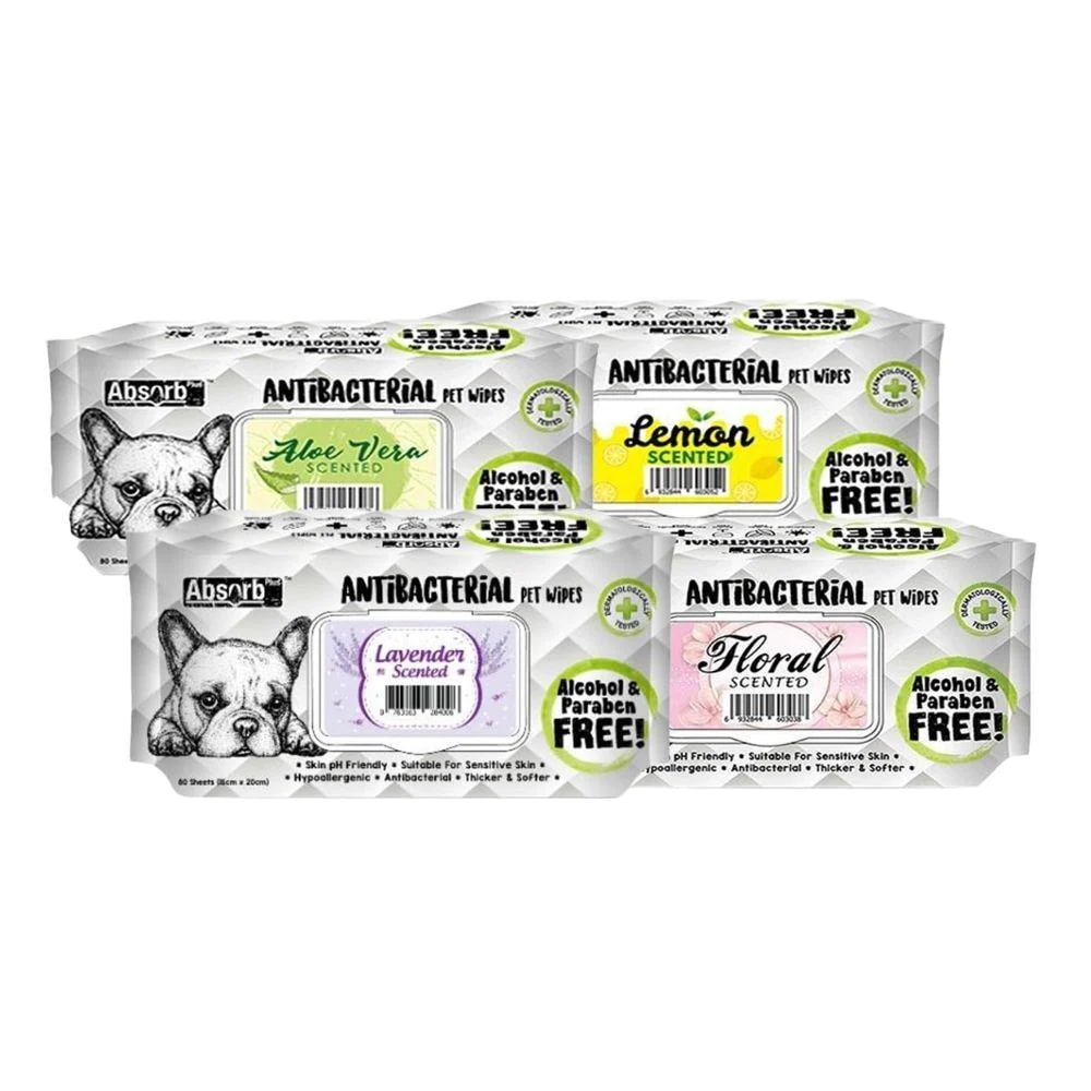 - Absorb Wet Towel កន្សែងសើម