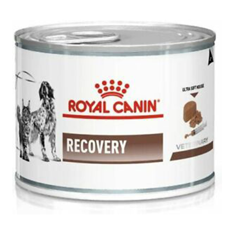 - Royal Can Recovery 195g