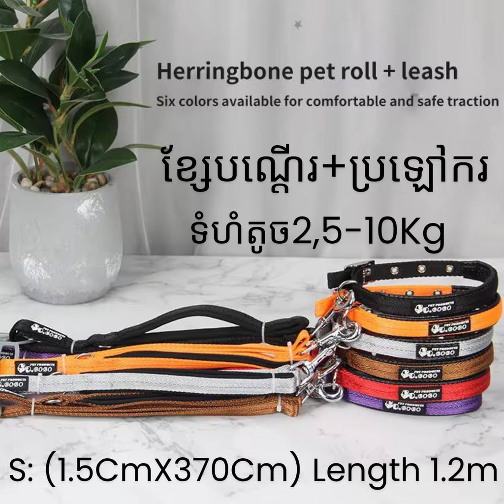 -Dog Leash with Collar Size S: 2.5-10kg