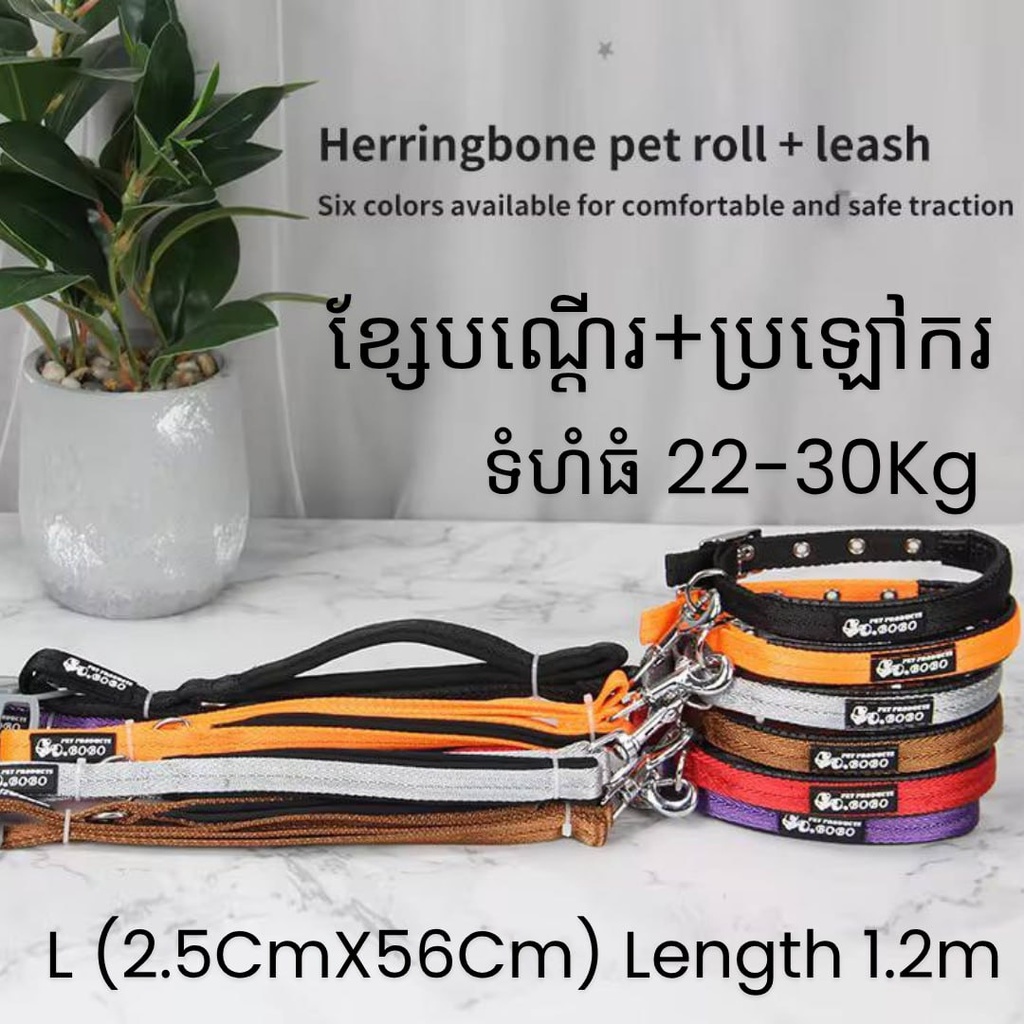 -Dog Leash with Collar Size L: 22-30Kg