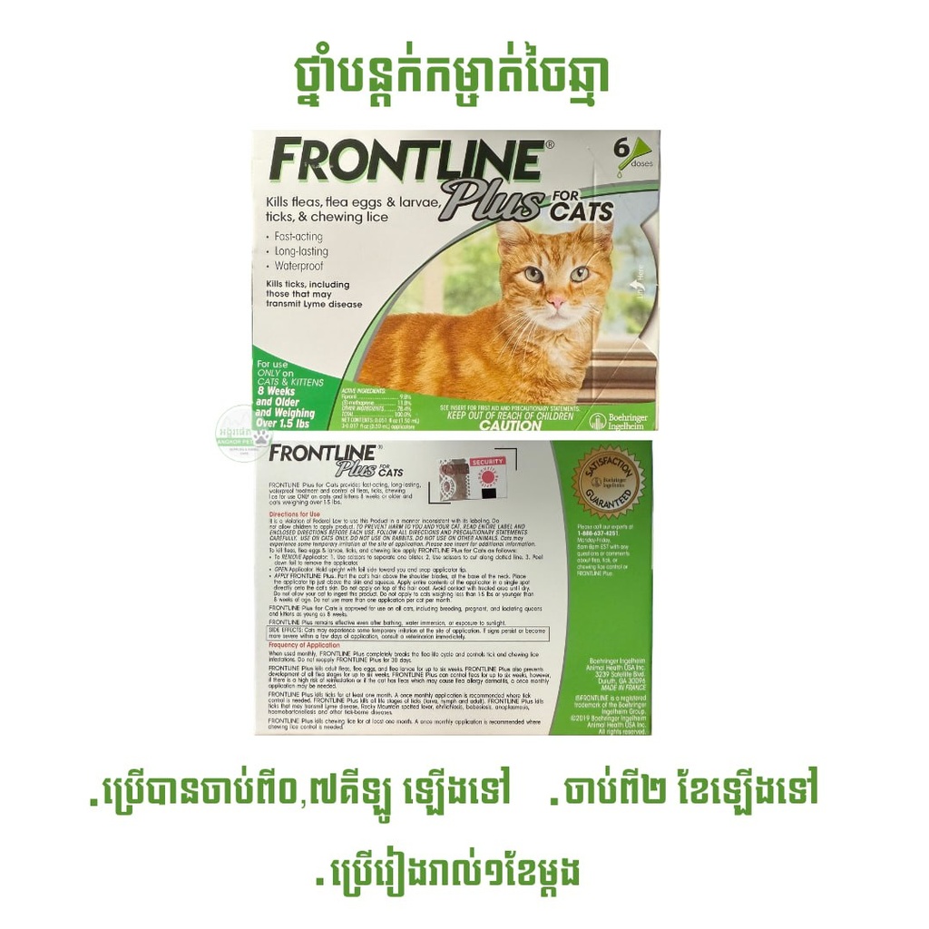 - Frontline Plus for Cats Over 0.7kg (1box=6 pipttes)