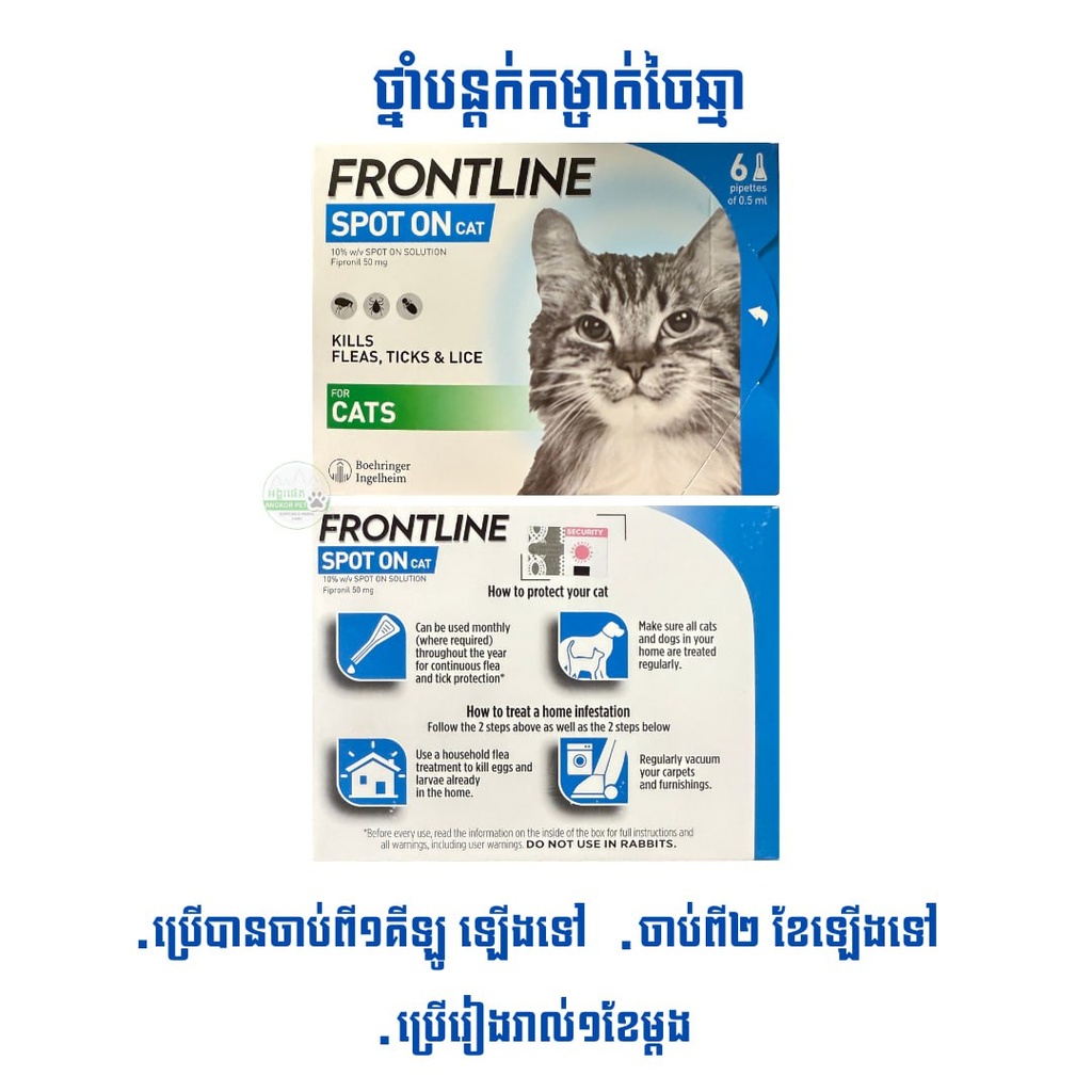 Frontline Spot On Cat Over 1kg (1box=6pipettes)