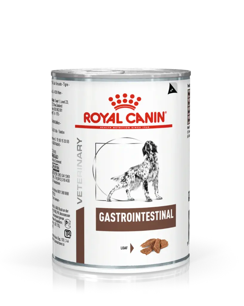 - Royal Gastrointestinal Can Dog Food 400g