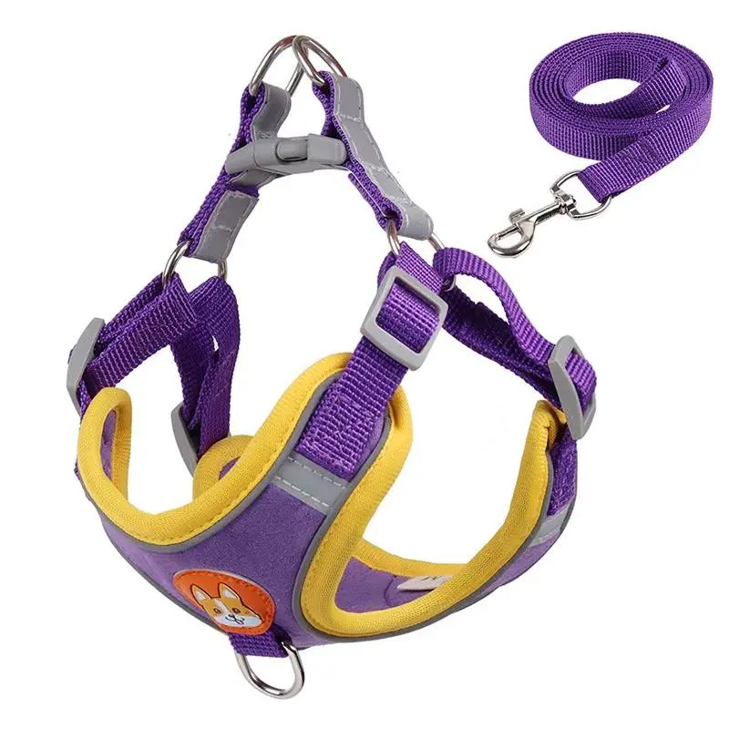 - Dog Leash Set M (3-6.5kg) ឈុតវ៉ាត់ខ្លួន