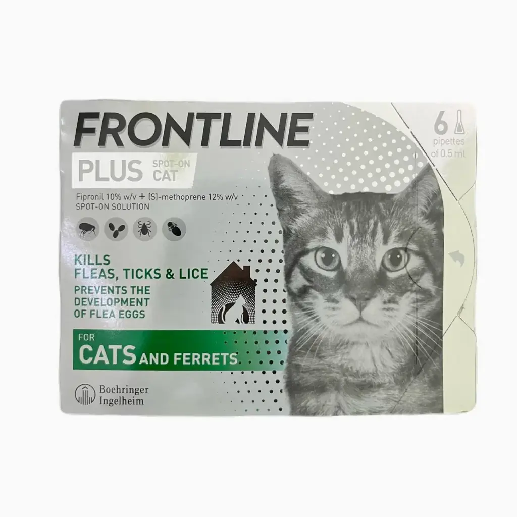 - Frontline Plus Cat Over 1kg (1Box=6Pipettes)