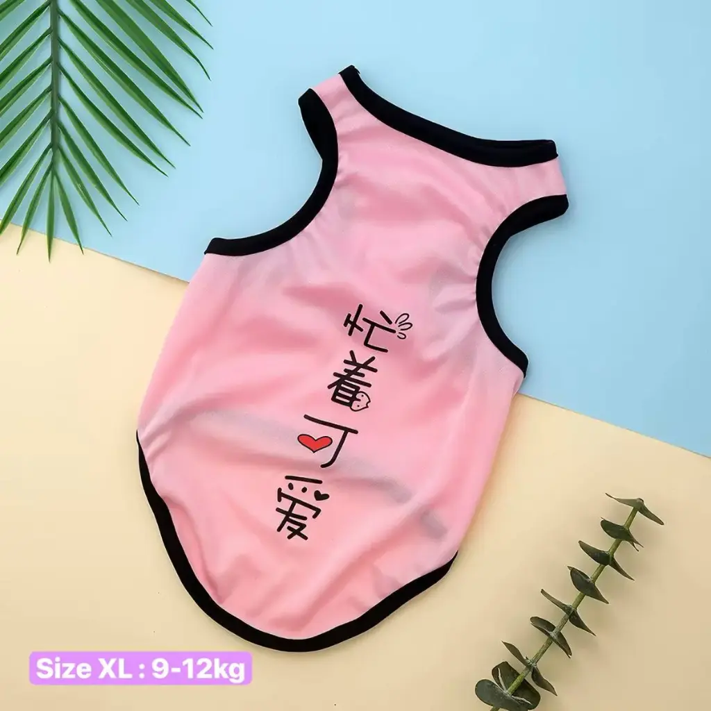 - T-Shirt អាវយឺតចម្រុះពណ៌ XL (9-12kg)