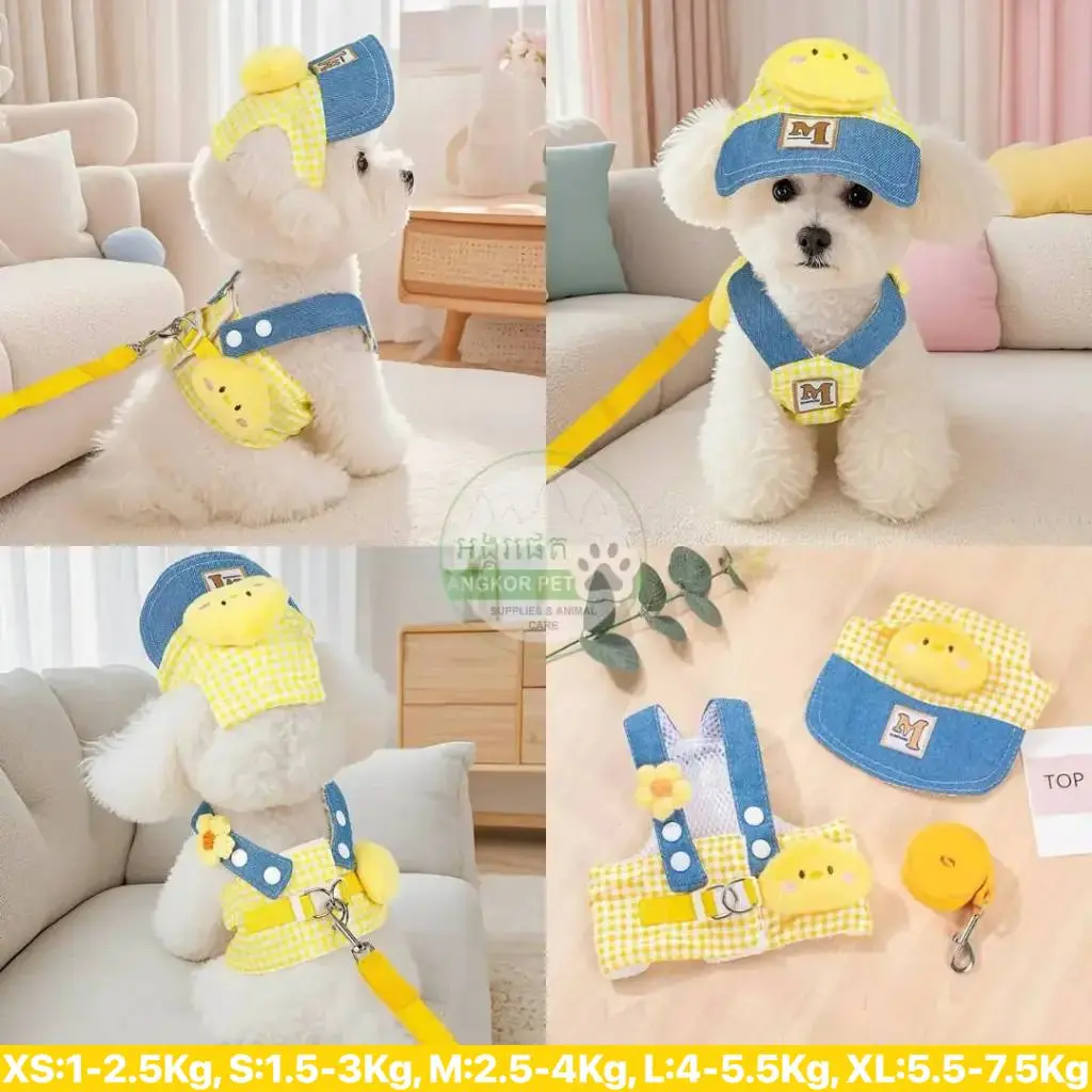 - Pet Harness Set With Hat ឈុតខ្សែបណ្តើរ+មួក Yellow+Sky Blue