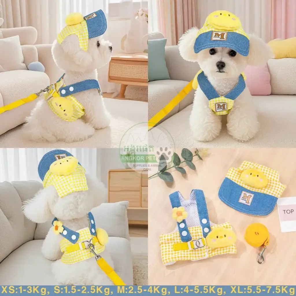 - Pet Harness Set With Hat ឈុតខ្សែបណ្តើរ+មួក Yellow+Sky Blue