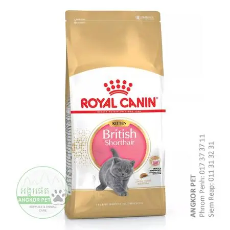 - Royal Dry Cat Food British Short Hair Kitten Cat 10kg