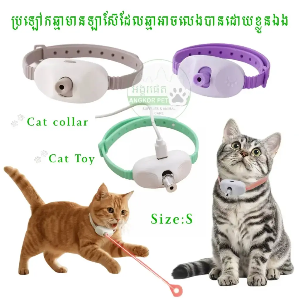 - Cat Laser Collar ប្រឡៅកឡាស៊ែរ Size S