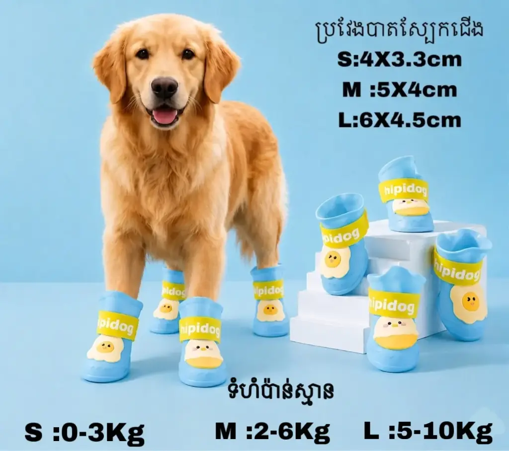  - Hipidog Pet Waterproof Shoes Rain Boots ស្បែកជើងការពារជ្រាបទឹក Sky Blue