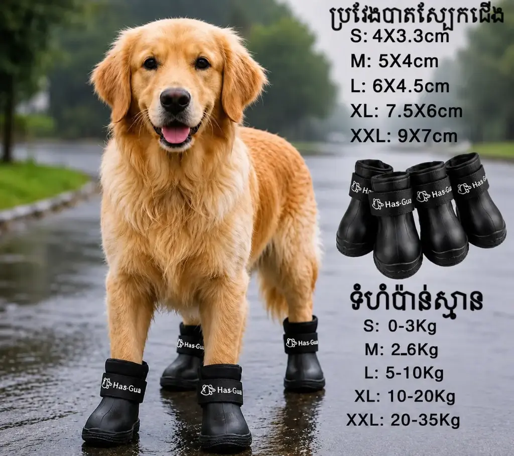 - Pet Waterproof Shoes (Black) ស្បែកជើងការពារជ្រាបទឹក