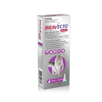 [8713184228291] - Bravecto Cat Plus Drop 6.25-12.5kg