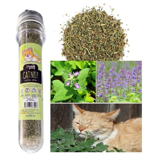 [7862135160287] - Cat Toy Catnip Bottle 50ml