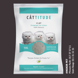 Cat Litter
