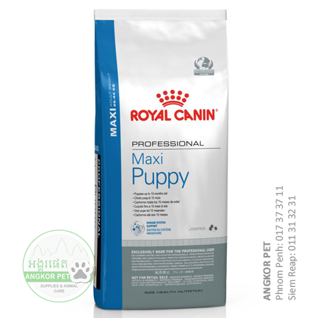 [3182550803359] - Royal Dry Dog Food Maxi Puppy 16kg