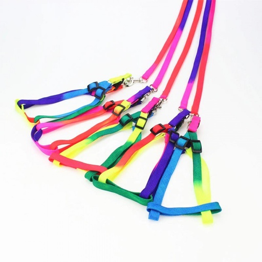 [B0000000014] - Dog Leash & Harness Flat Rope 1cmX120cm ខ្សែរបណ្តើរឈុតសំប៉ែត