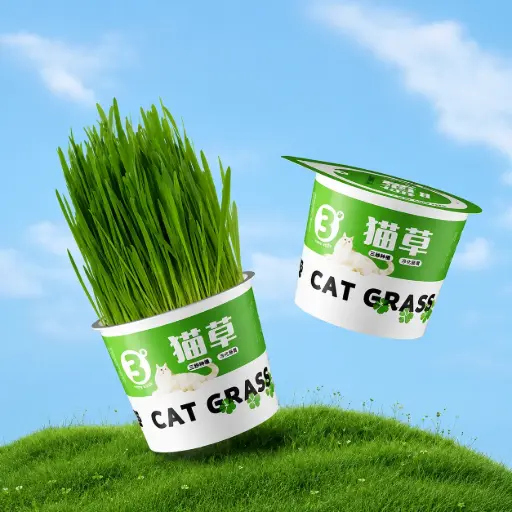 [6975641630289] - N4P Cat Grass Soilless Grow Kit 30g គ្រាប់ស្មៅឆ្មា