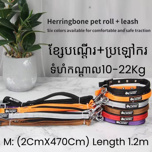[B0000001201] - BoBo Dog Leash with Collar Size M: 10-22Kg