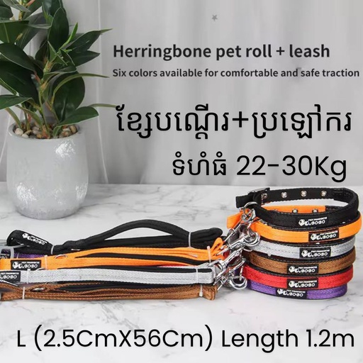 [B0000001202] - BoBo Dog Leash with Collar Size L: 22-30Kg