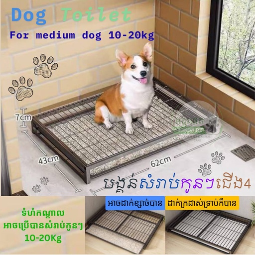 [B0000001233] - Dog Toilet Size M: 62x43x7Cm