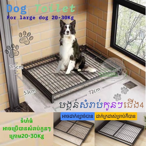 [B0000001234] -Dog Toilet Size L: 72x53x7.5Cm