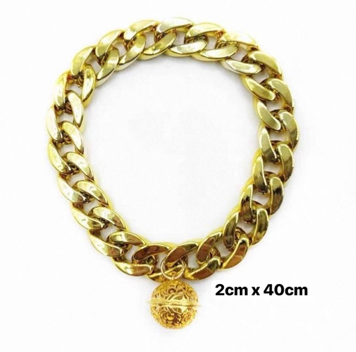 [B0000001365] Dog Collar Gold Color 2x40cm