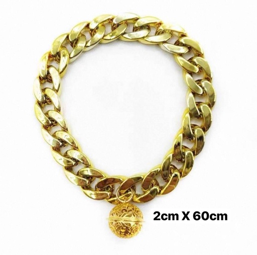 [B0000001367] Dog Collar Gold Color 2x60cm