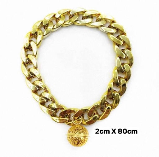 [B0000001369] Dog Collar Gold Color 2x80cm