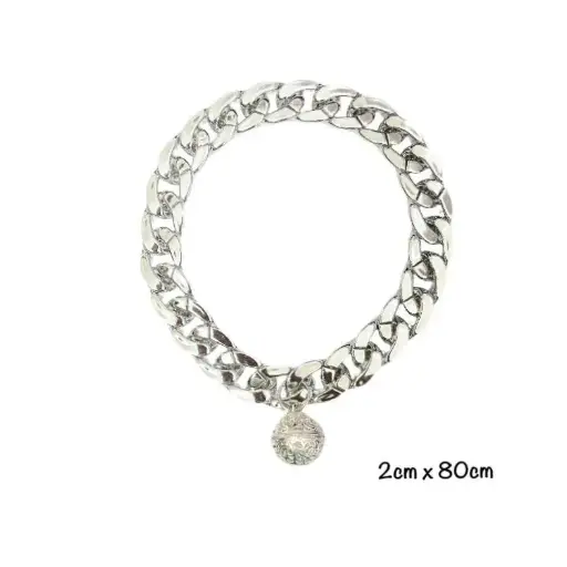 [B0000002090] - Pet Collar Sliver Color 2x80cm